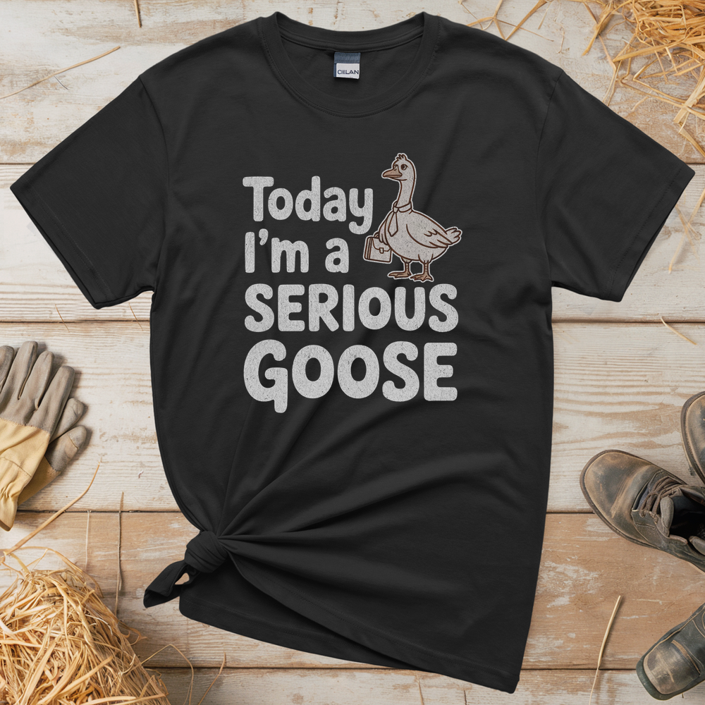 Today Im A Serious Goose (Adult Unisex Tee) - Black