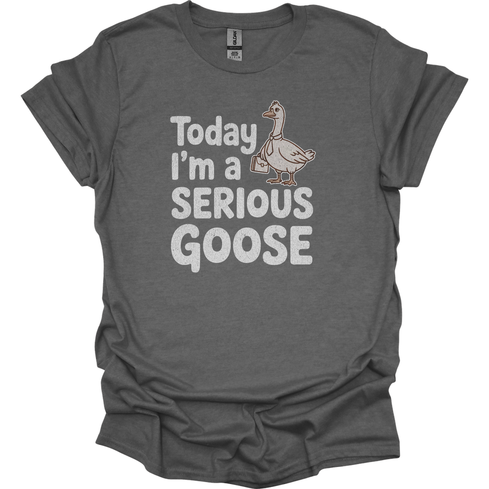 Today Im A Serious Goose - Graphite Heather