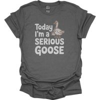 Today Im A Serious Goose - Graphite Heather