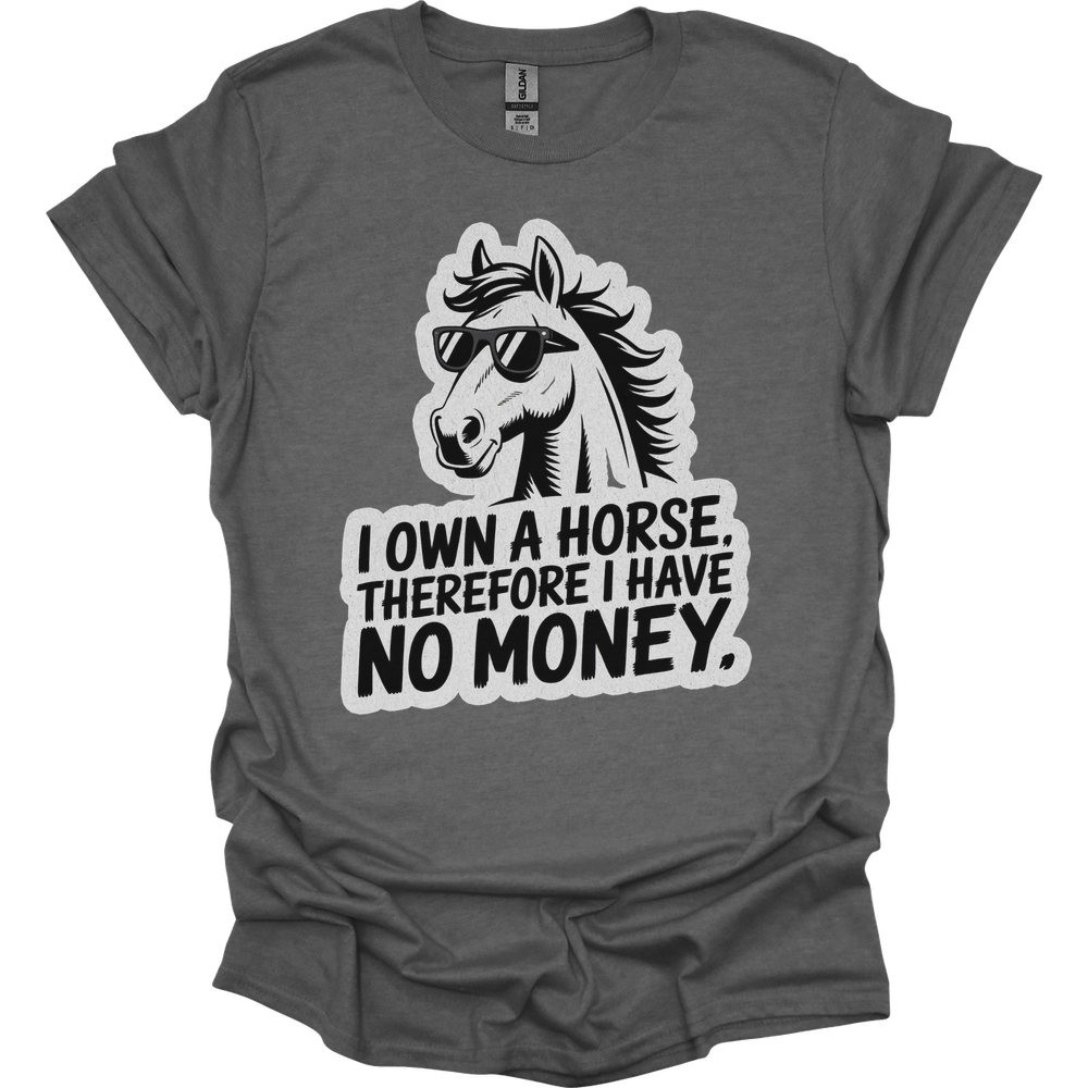 I Own A Horse Therfore I Have No Money Adult Unisex Tee - Graphite Heather