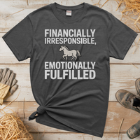 Financially Irresponsible Emotionally Fulfilled (Adult Unisex Tee) - Graphite Heather