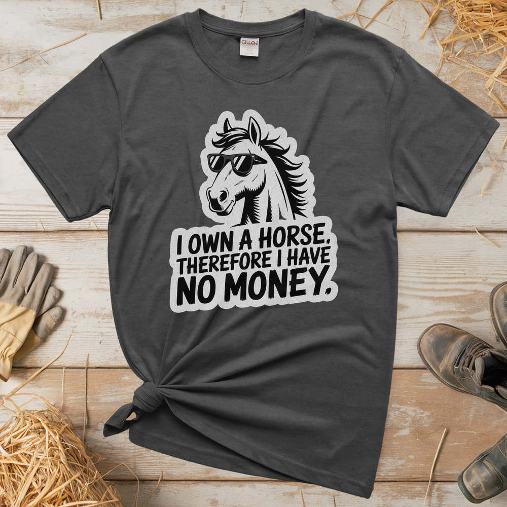 I Own A Horse Therfore I Have No Money (Adult Unisex Tee) - Graphite Heather