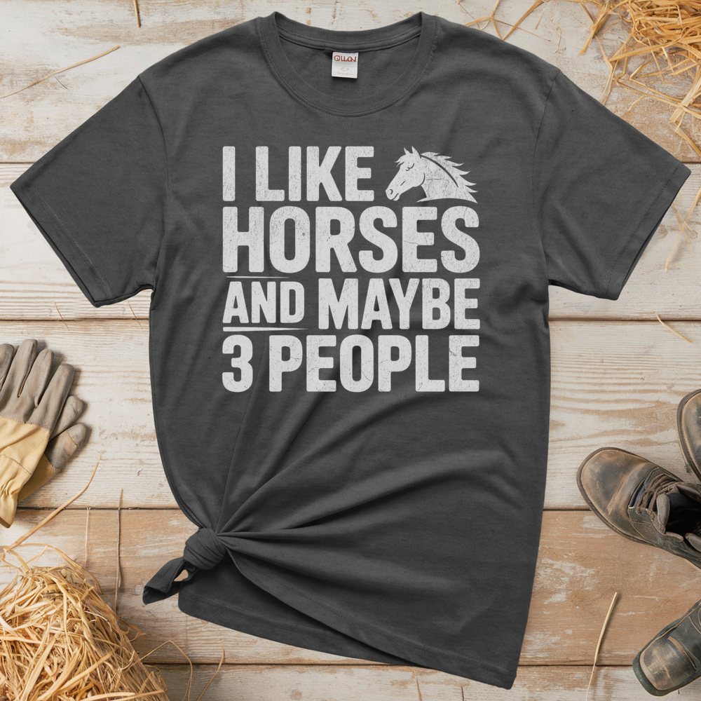 I Like Horses And Maybe 3 People (Adult Unisex Tee) - Graphite Heather