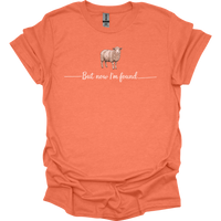 But Now Im Found Spiritual Sheep - Heather Orange