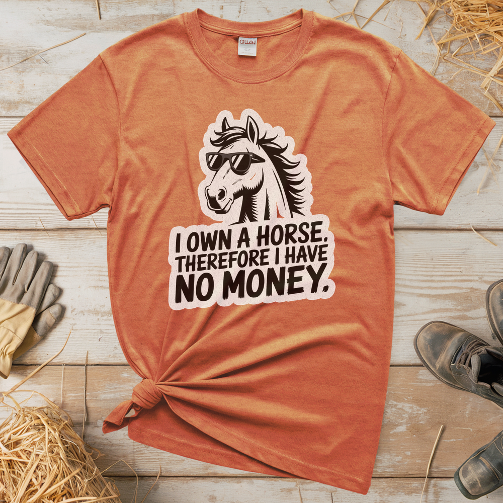 I Own A Horse Therfore I Have No Money (Adult Unisex Tee) - Heather Orange