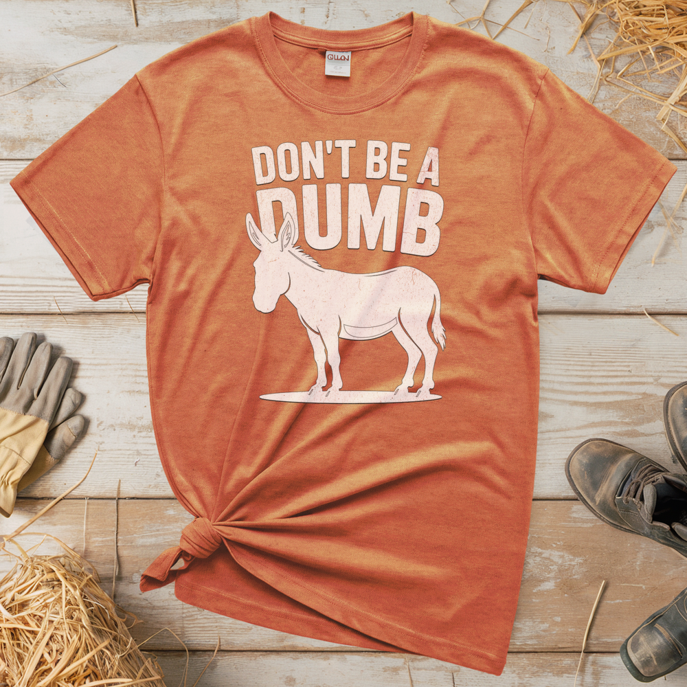 Don't Be A Dumbass (Adult Unisex Tee) - Heather Orange