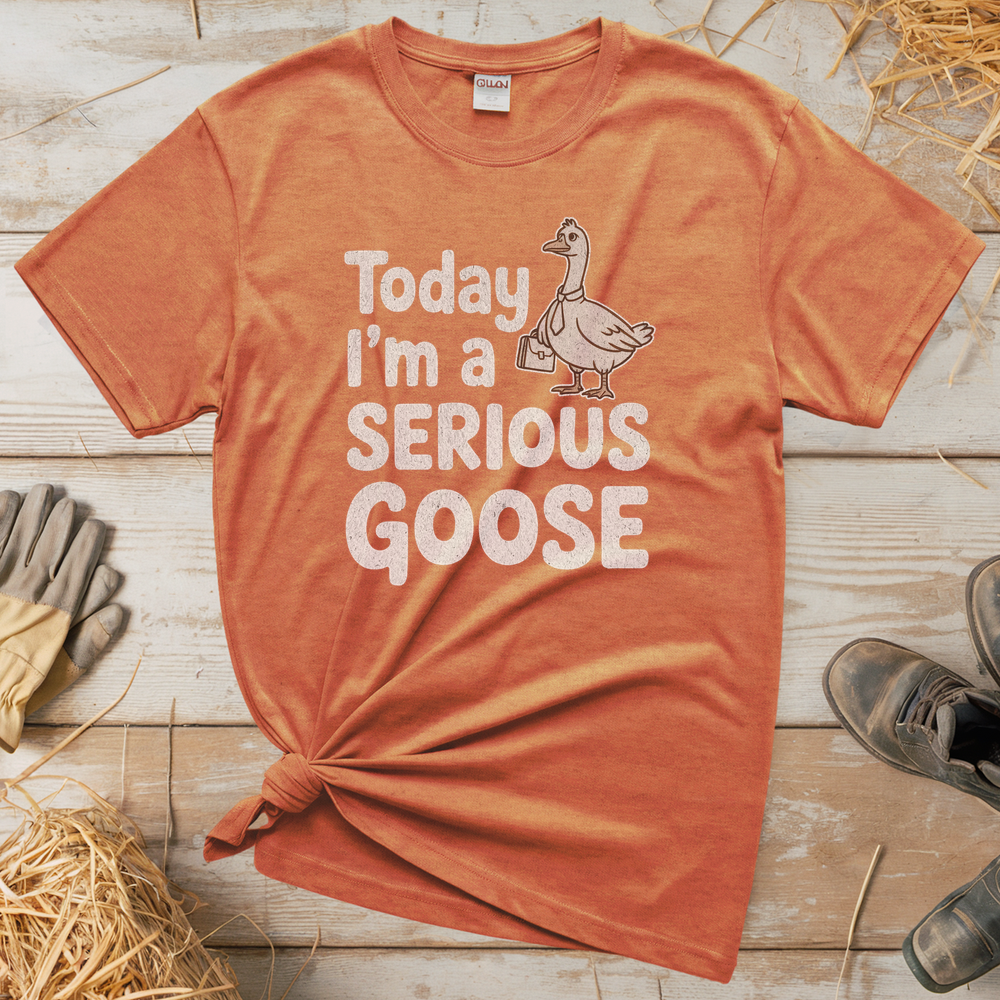 Today Im A Serious Goose (Adult Unisex Tee) - Heather Orange
