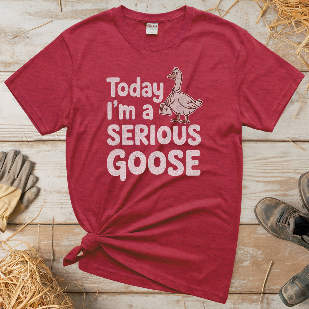 Today Im A Serious Goose (Adult Unisex Tee) - Heather Red