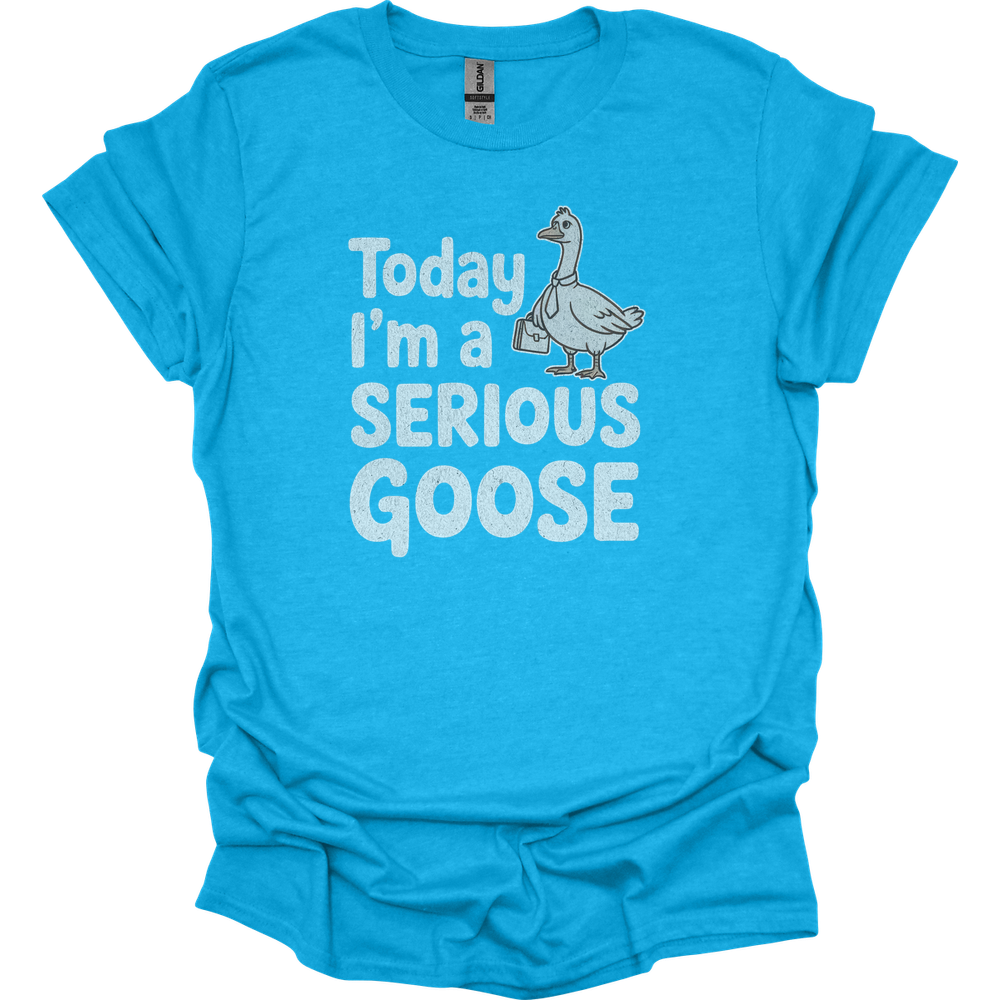 Today Im A Serious Goose - Heather Sapphire
