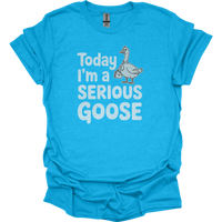 Today Im A Serious Goose - Heather Sapphire