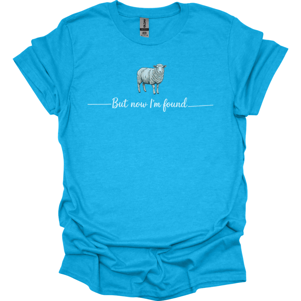 But Now Im Found Spiritual Sheep - Heather Sapphire