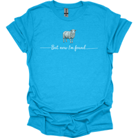 But Now Im Found Spiritual Sheep - Heather Sapphire