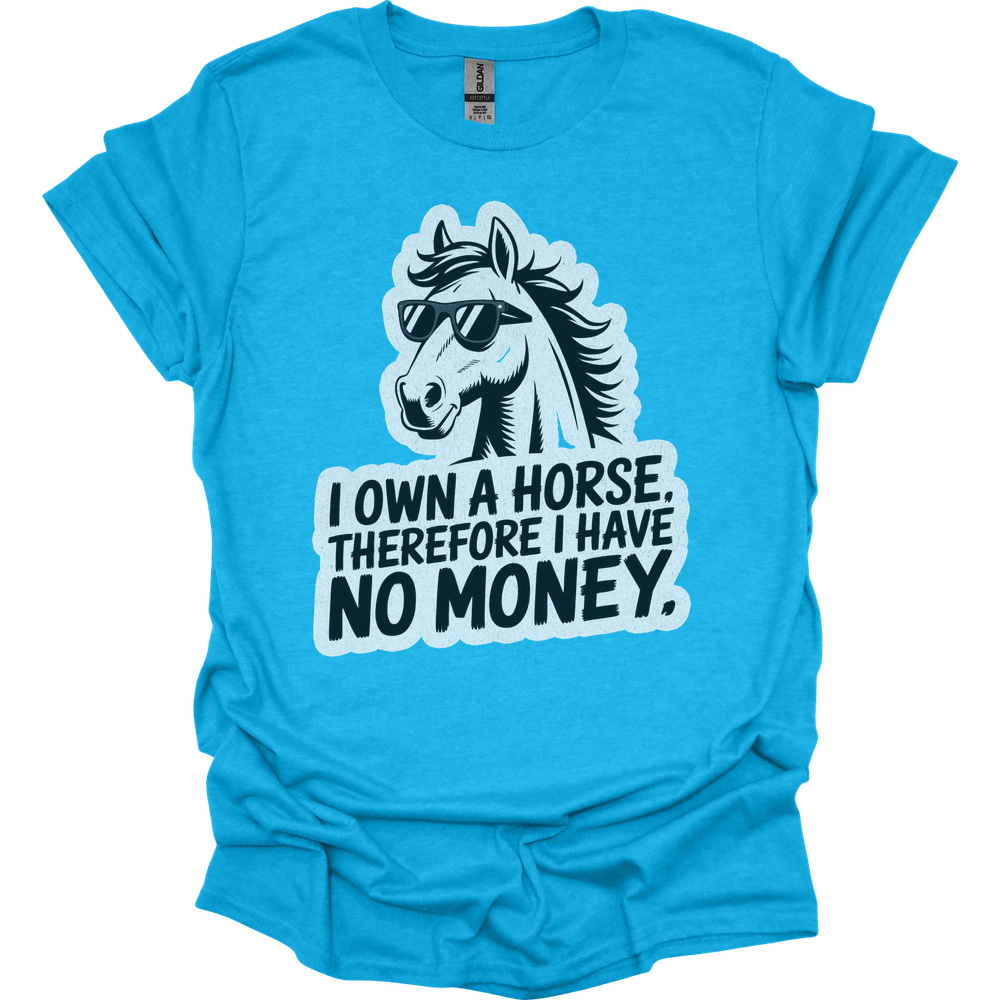 I Own A Horse Therfore I Have No Money Adult Unisex Tee - Heather Sapphire