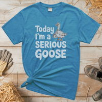 Today Im A Serious Goose (Adult Unisex Tee) - Heather Sapphire