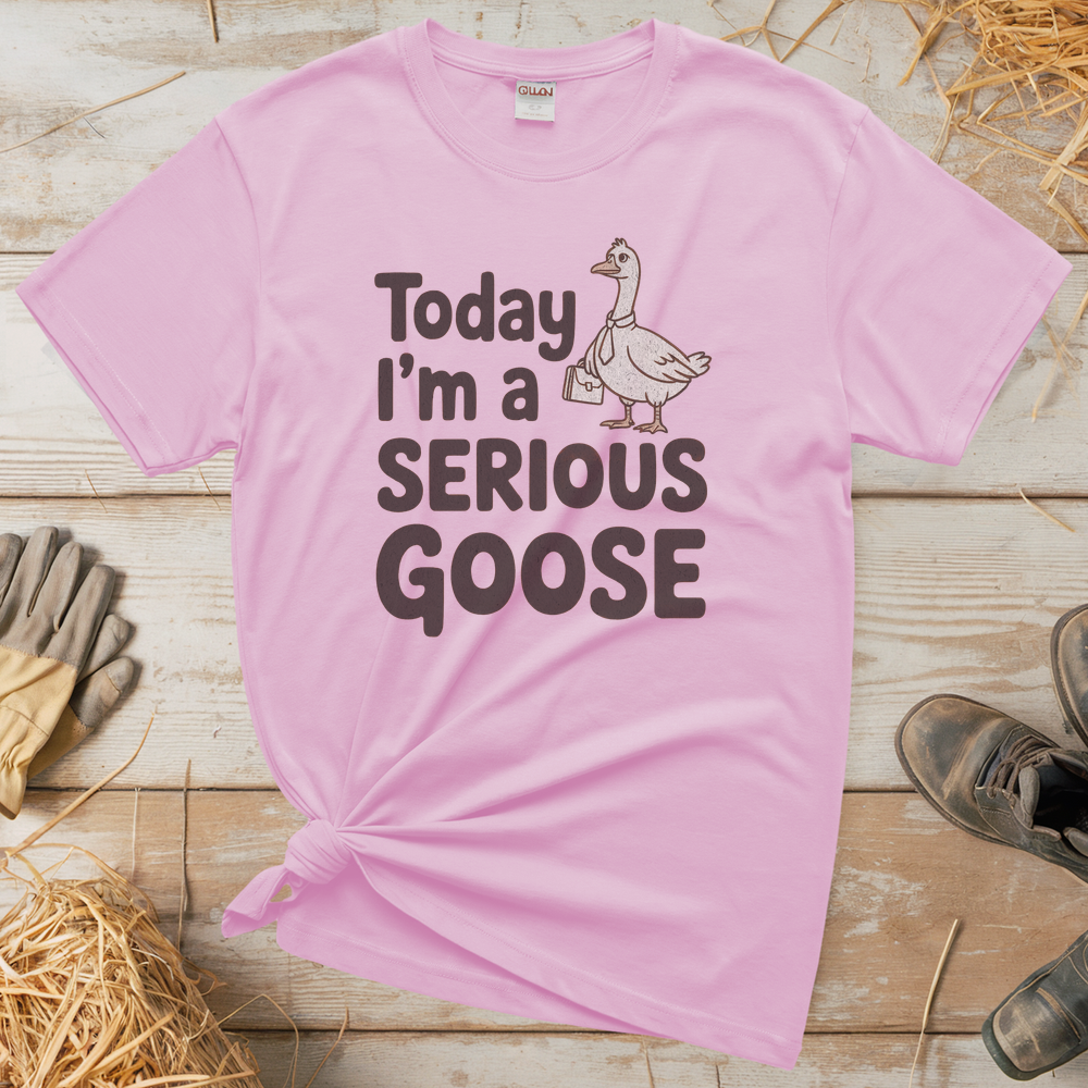Today Im A Serious Goose (Adult Unisex Tee) - Light Pink