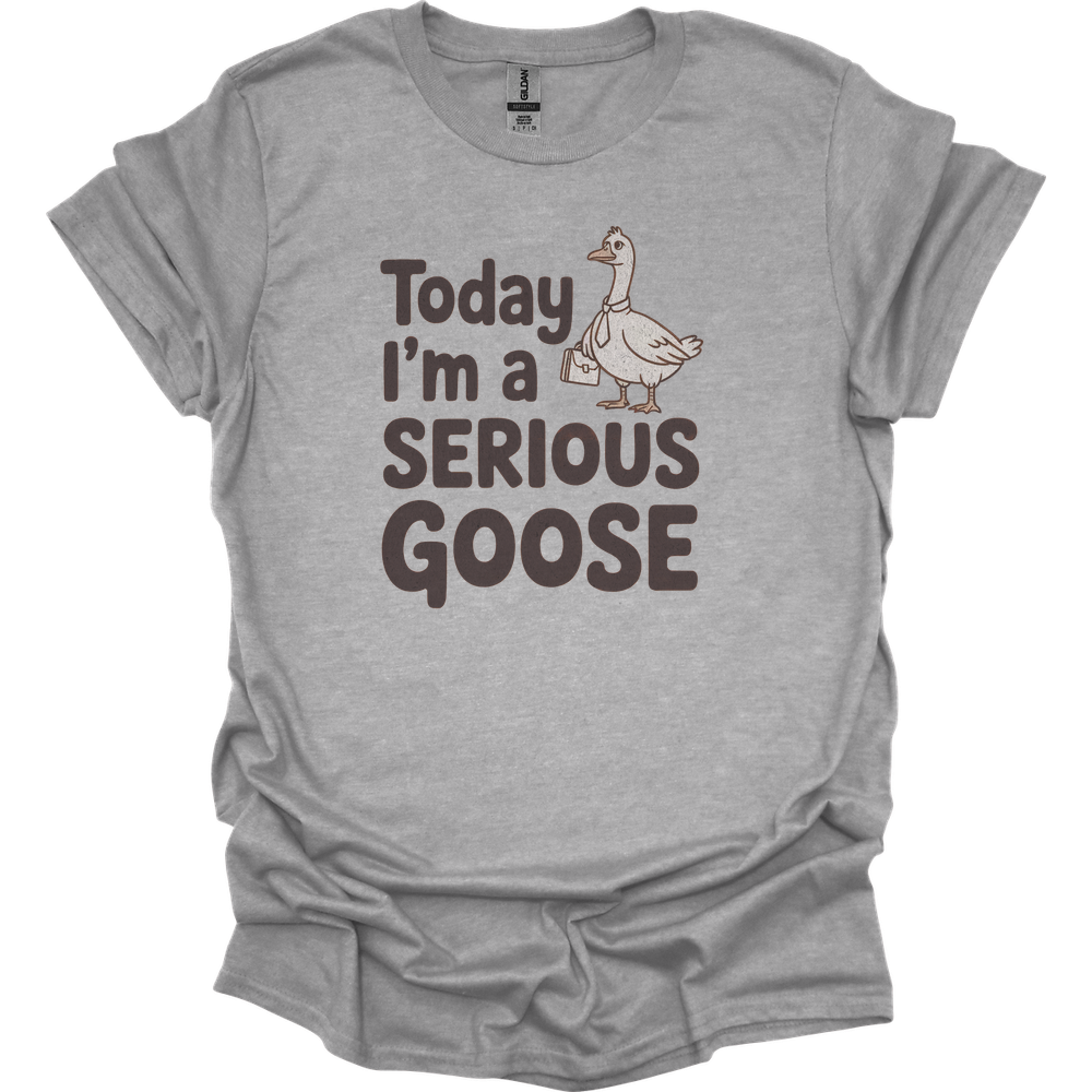 Today Im A Serious Goose - Sport Grey