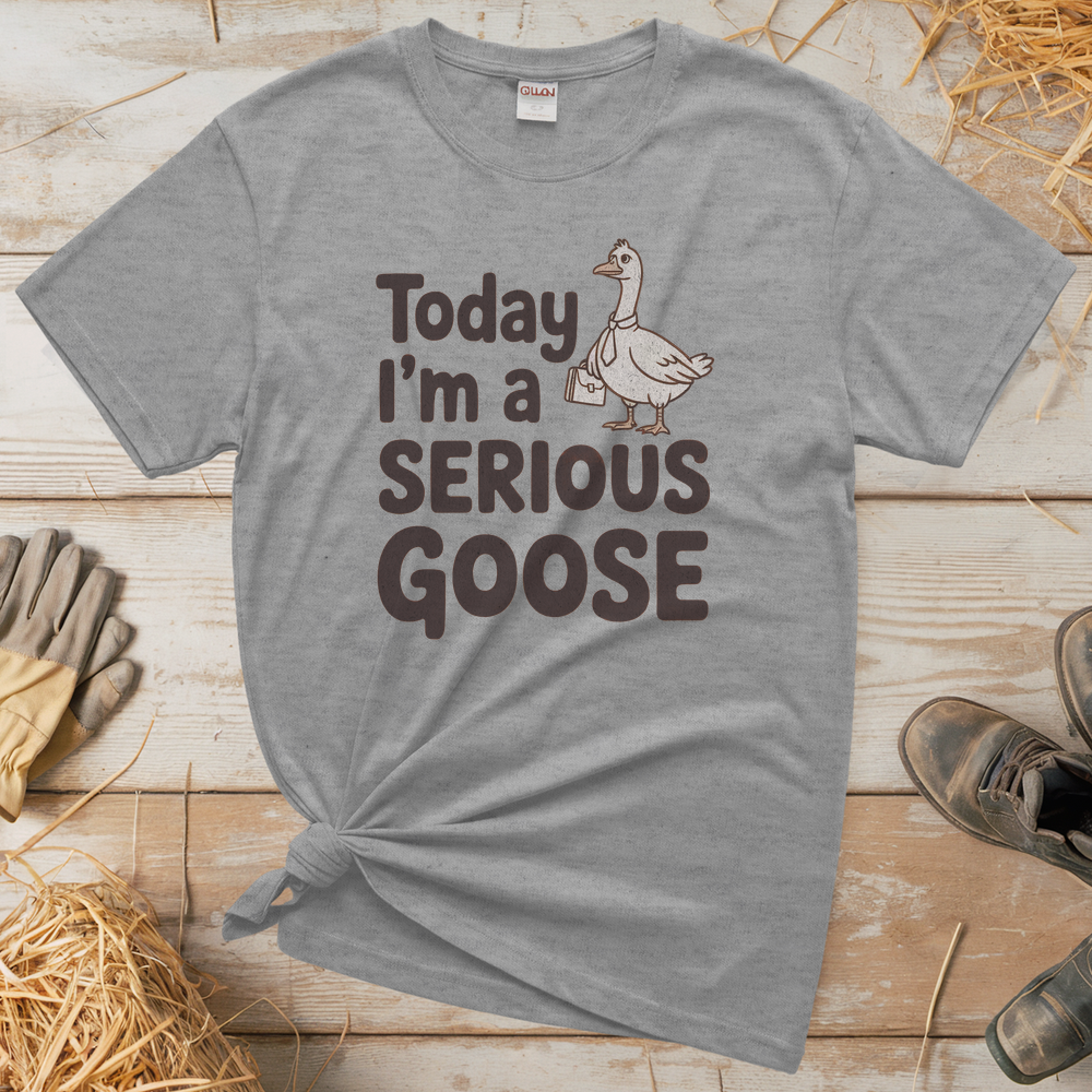 Today Im A Serious Goose (Adult Unisex Tee) - Sport Grey