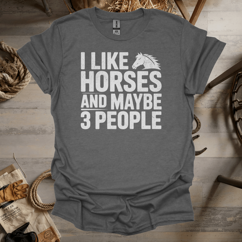 I Like Horses And Maybe 3 People (Adult Unisex Tee) Graphite Heather / S
